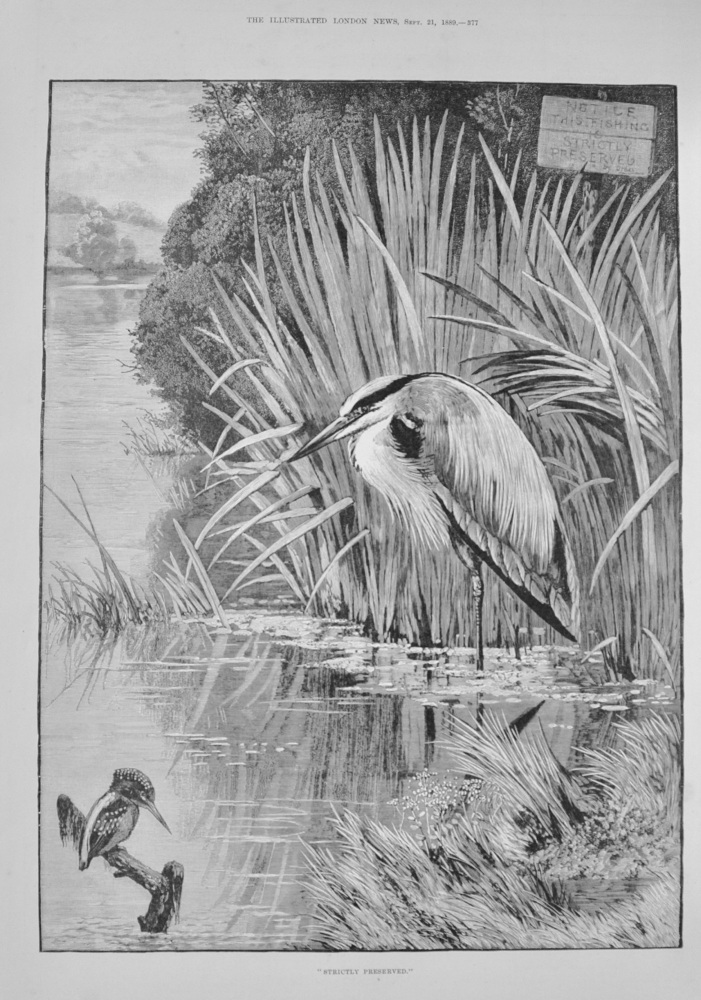 "Strictly Preserved" - 1889