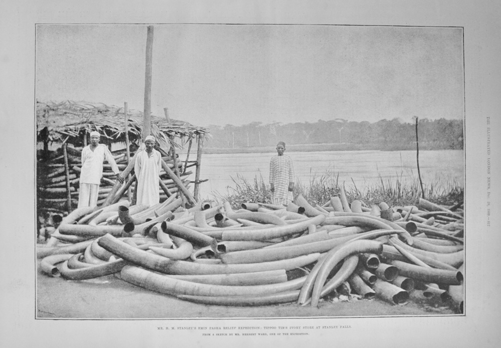 Tippoo Tib's Ivory Store at Stanley Falls - 1889