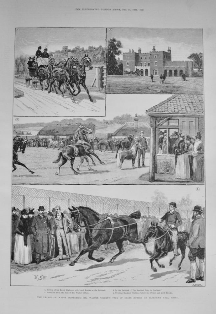 Mr Walter Gilbey's Stud of Shire Horses at Elsenham Hall, Essex - 1889