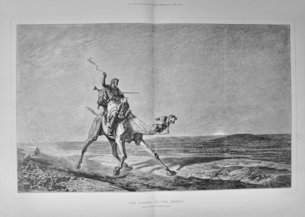 "The Courier of the Desert" - 1889