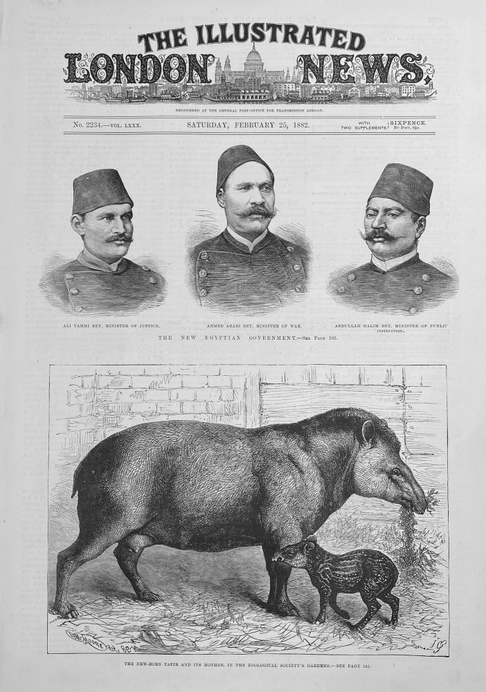 The Illustrated London News - February 25, 1882
