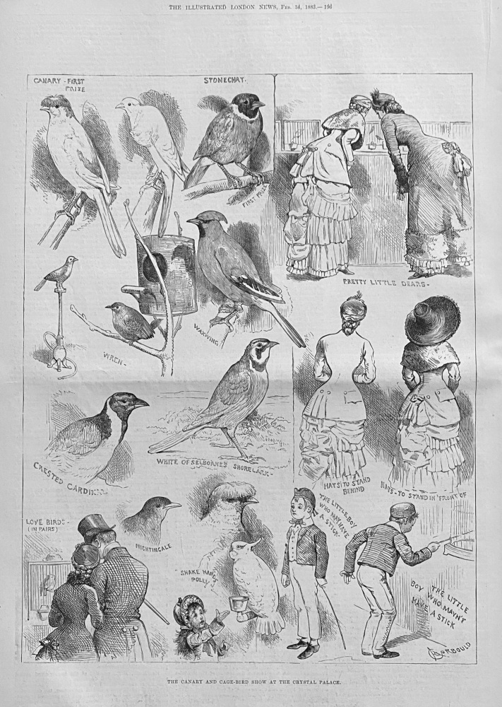 The Canary and Cage Bird Show - 1883