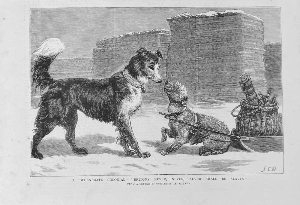 A Degenerate Colonial- "Britons Never, Never, Never Shall Be Slaves".  1879.