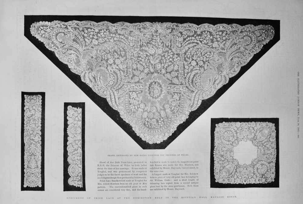 Specimens of Irish Lace - 1883