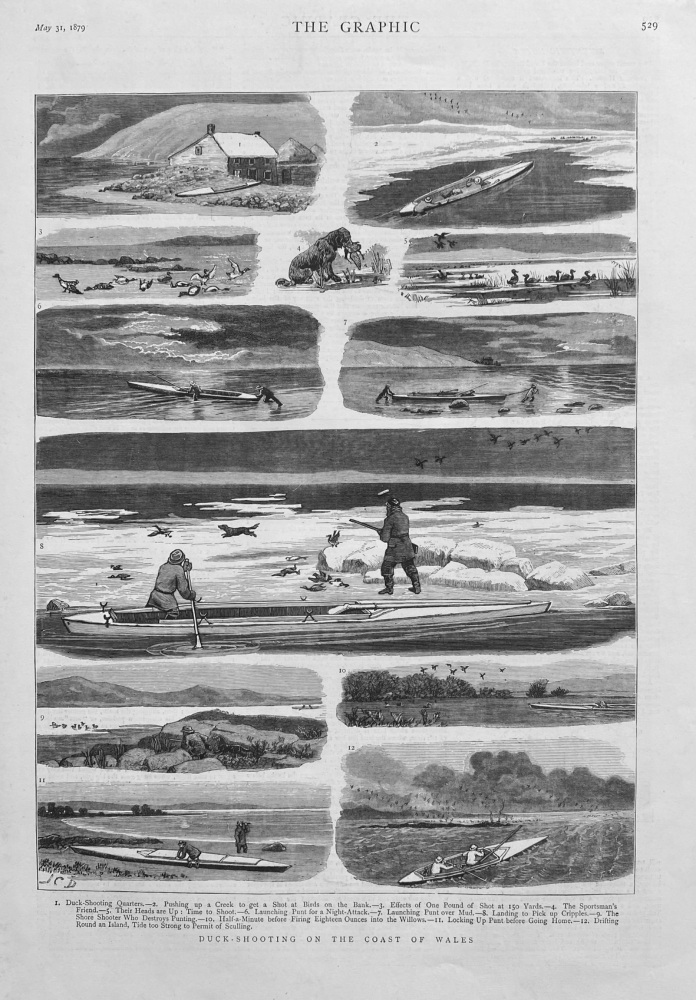 Duck - Shooting on the Coast of Wales.  1879.