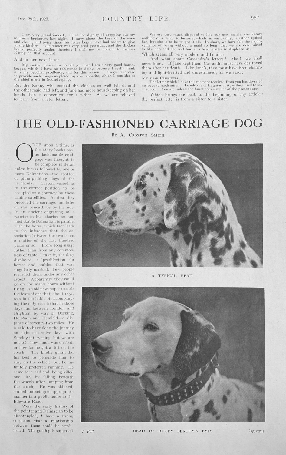 The Old Fashioned Carriage Dog - Dalmation