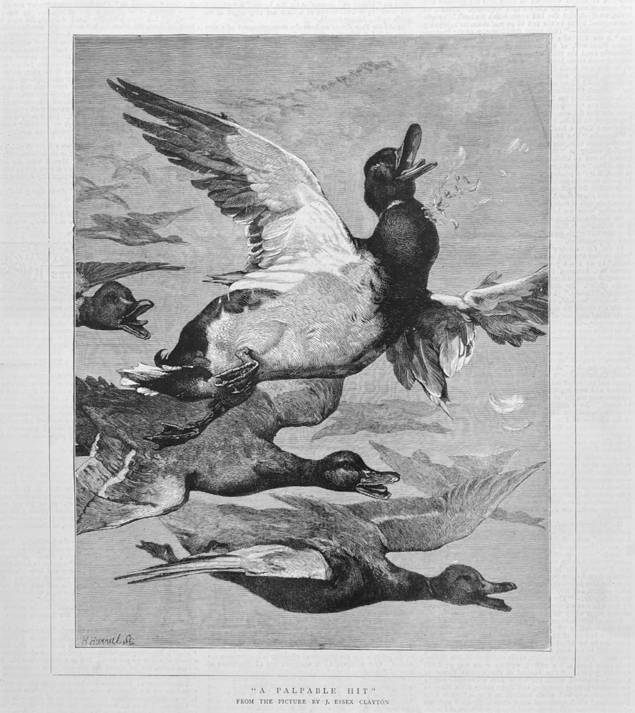"A Palpable Hit".  1879.   (Ducks).
