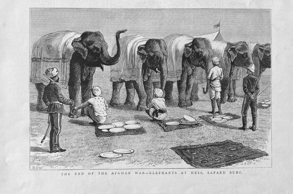 The End of the Afghan War - Elephants at Mess, Safaed Sung.  1879.