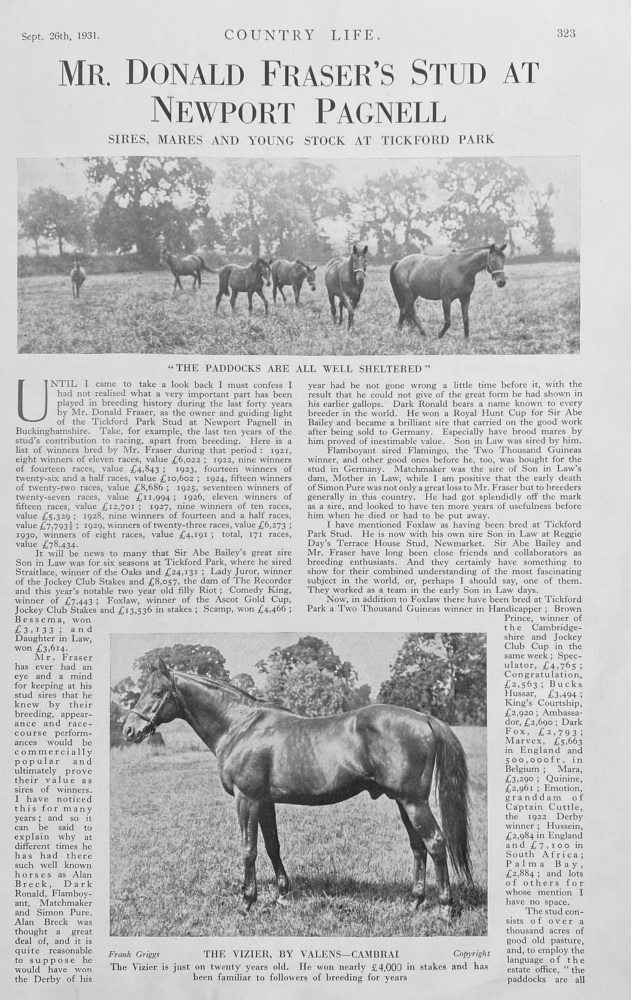 Mr Donald Fraser's Stud at Newport Pagnell - 1931