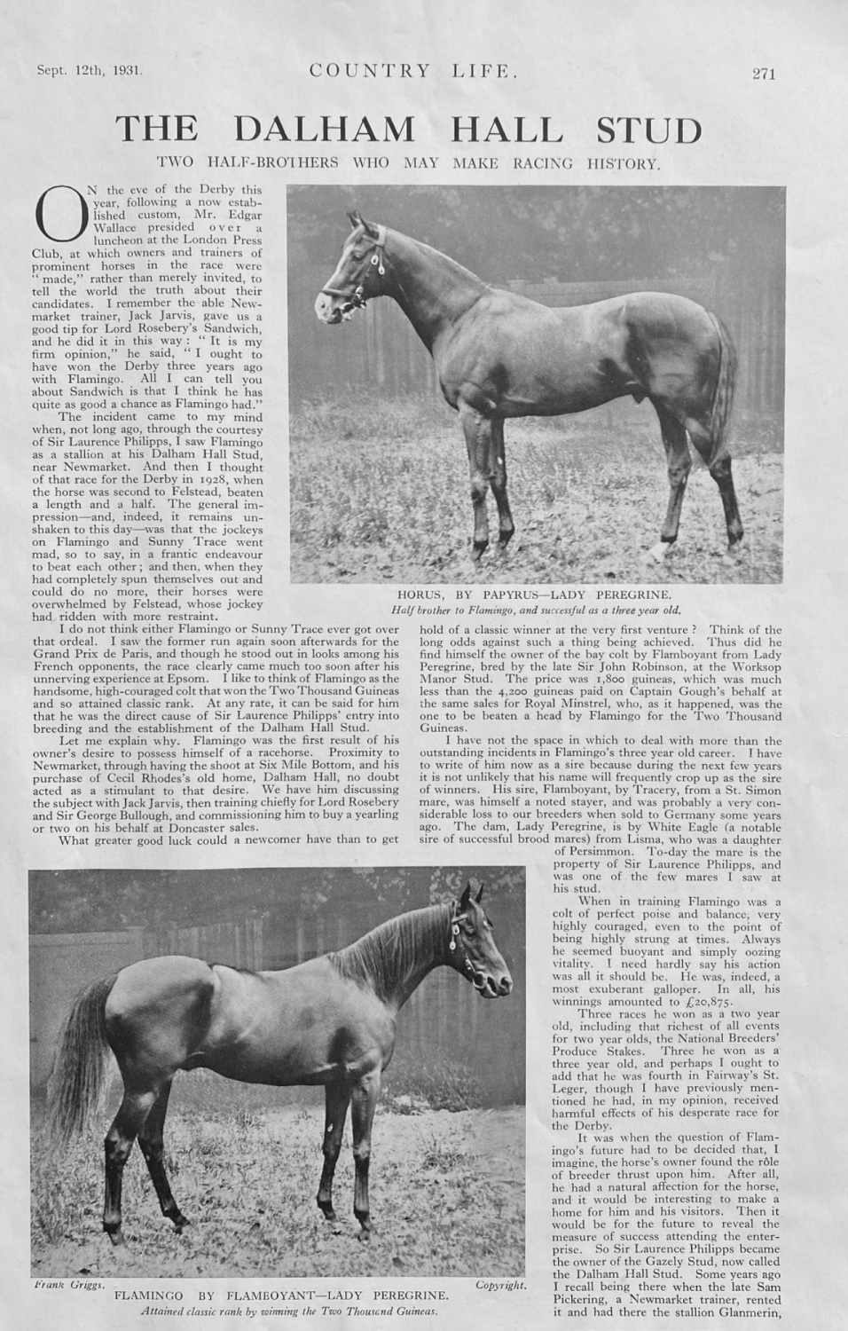 The Dalham Hall Stud - 1931