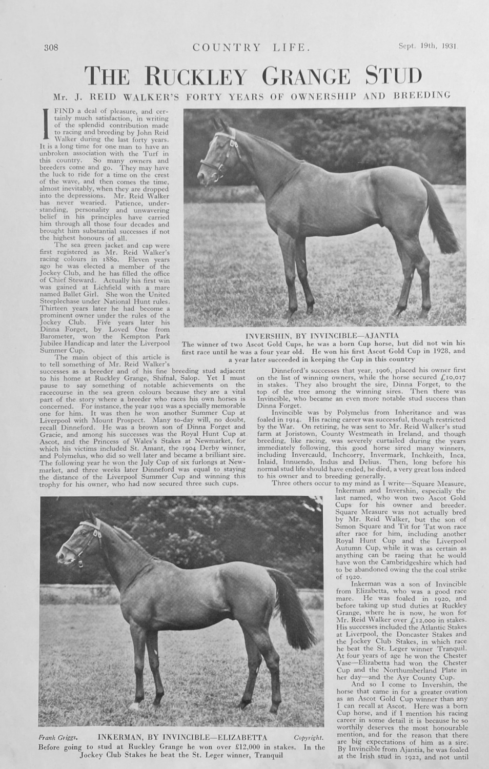 The Ruckley Grange Stud - 1931