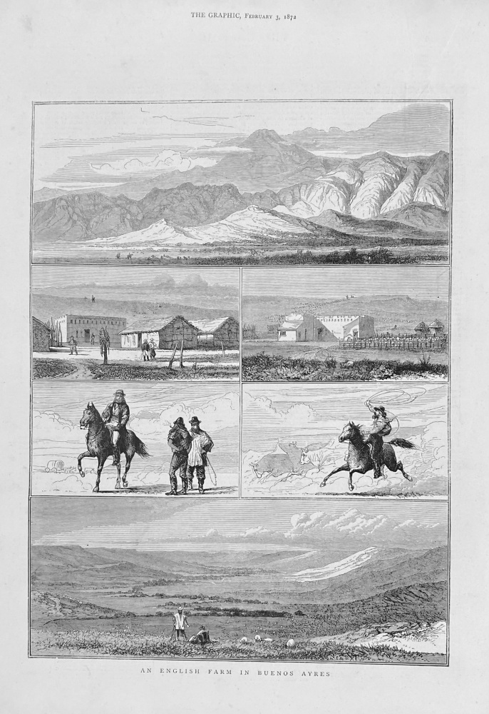 An English Farm in Buenos Ayres.  1872.
