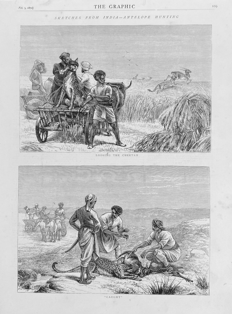 Sketches from India - Antelope Hunting.  1872.