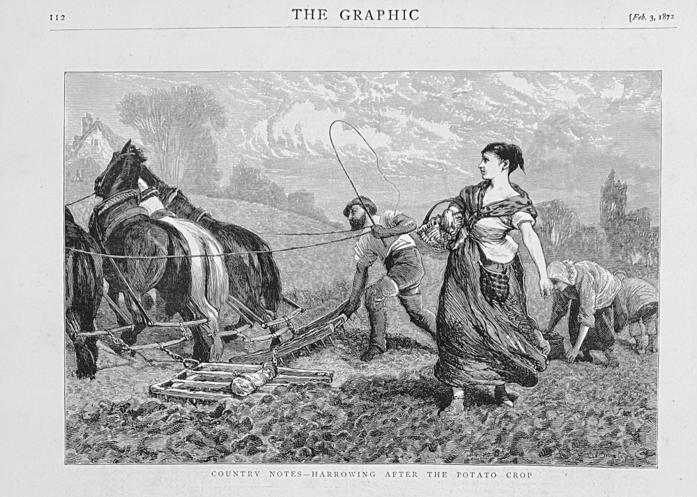 Country Notes- Harrowing after the Potato Crop.  1872.