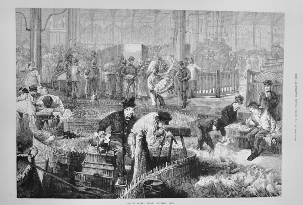 Poultry Market, Halles Centrales, Paris - 1874