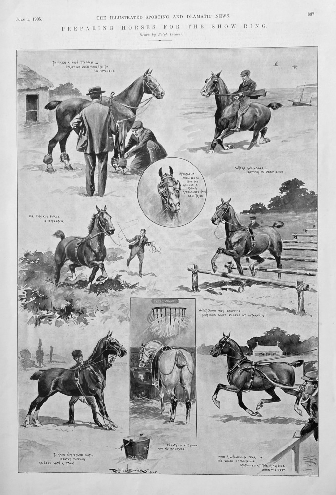 Preparing Horses for the Show Ring.  1905.