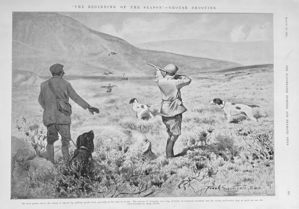 "The Beginning of the Season."- Grouse Shooting.  1905.
