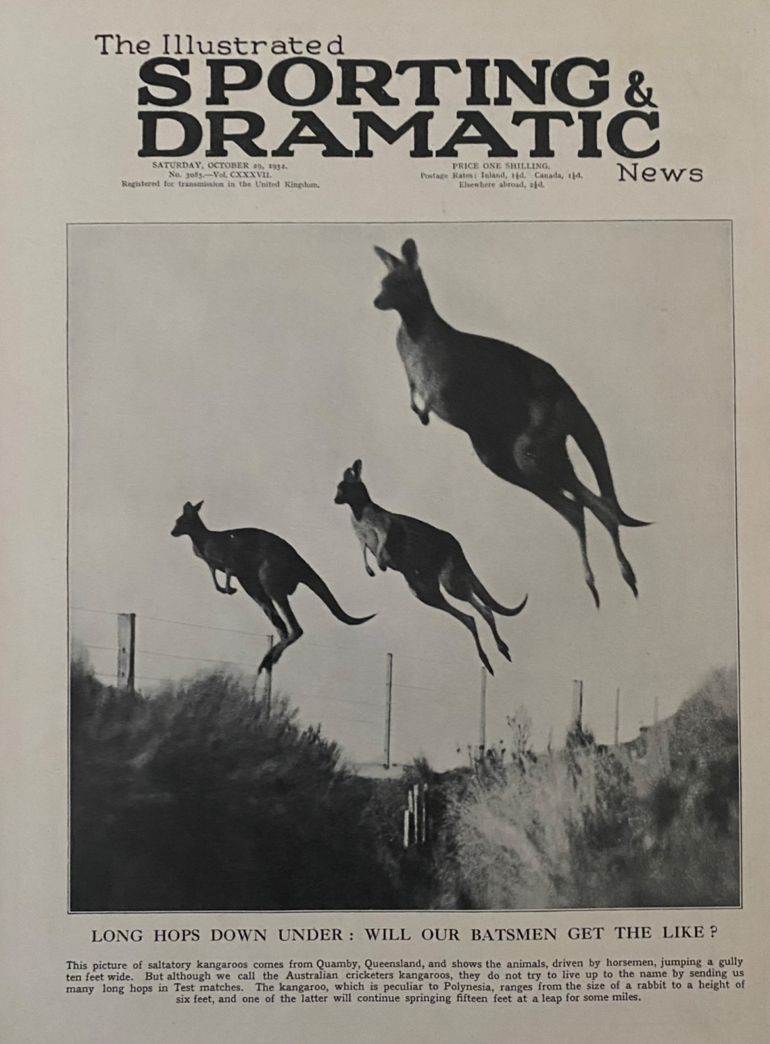 The Illustrated Sporting and Dramatic News, October 29, 1932