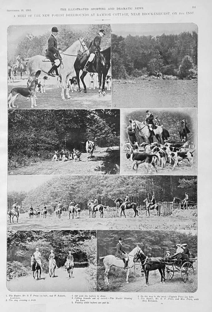 A Meet of the New Forest Deerhounds at Ramnor Cottage, near Brockenhurst,on 8th Inst.1905.