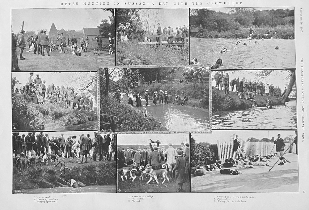 Otter Hunting in Sussex.-  A Day with the Crowhurst.  1905.