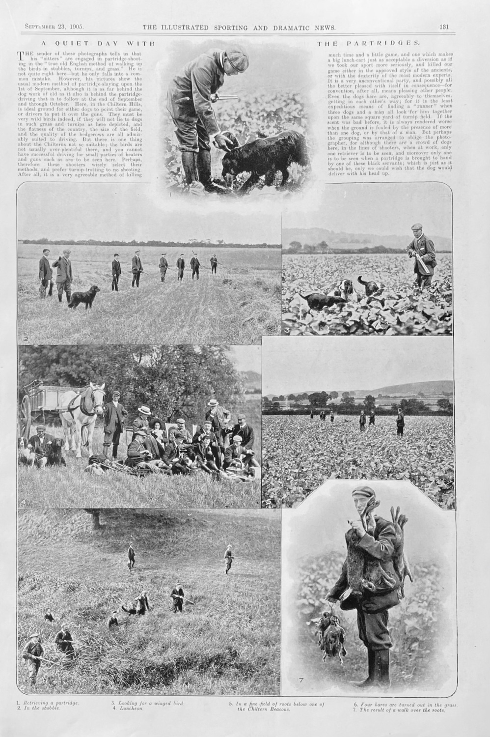 A Quiet Day with the Partridges.  (Shooting)   1905.