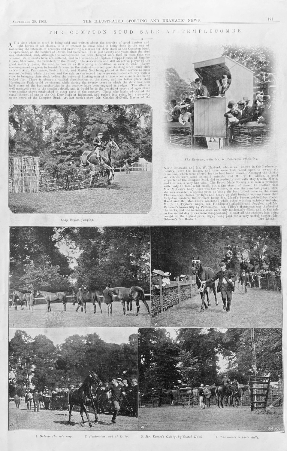 The Compton Stud Sale at Templecombe.  1905.
