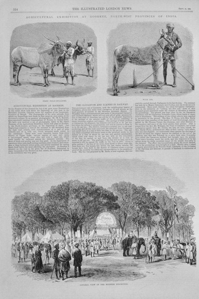 Agricultural Exhibition at Rourkee, India - 1864