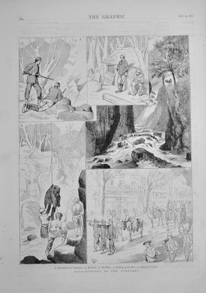 Bear Hunting in the Pyrenees - 1876