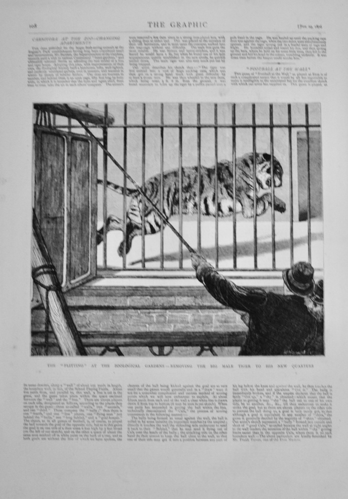 Carnivora at the Zoo - Changing Apartments - 1876