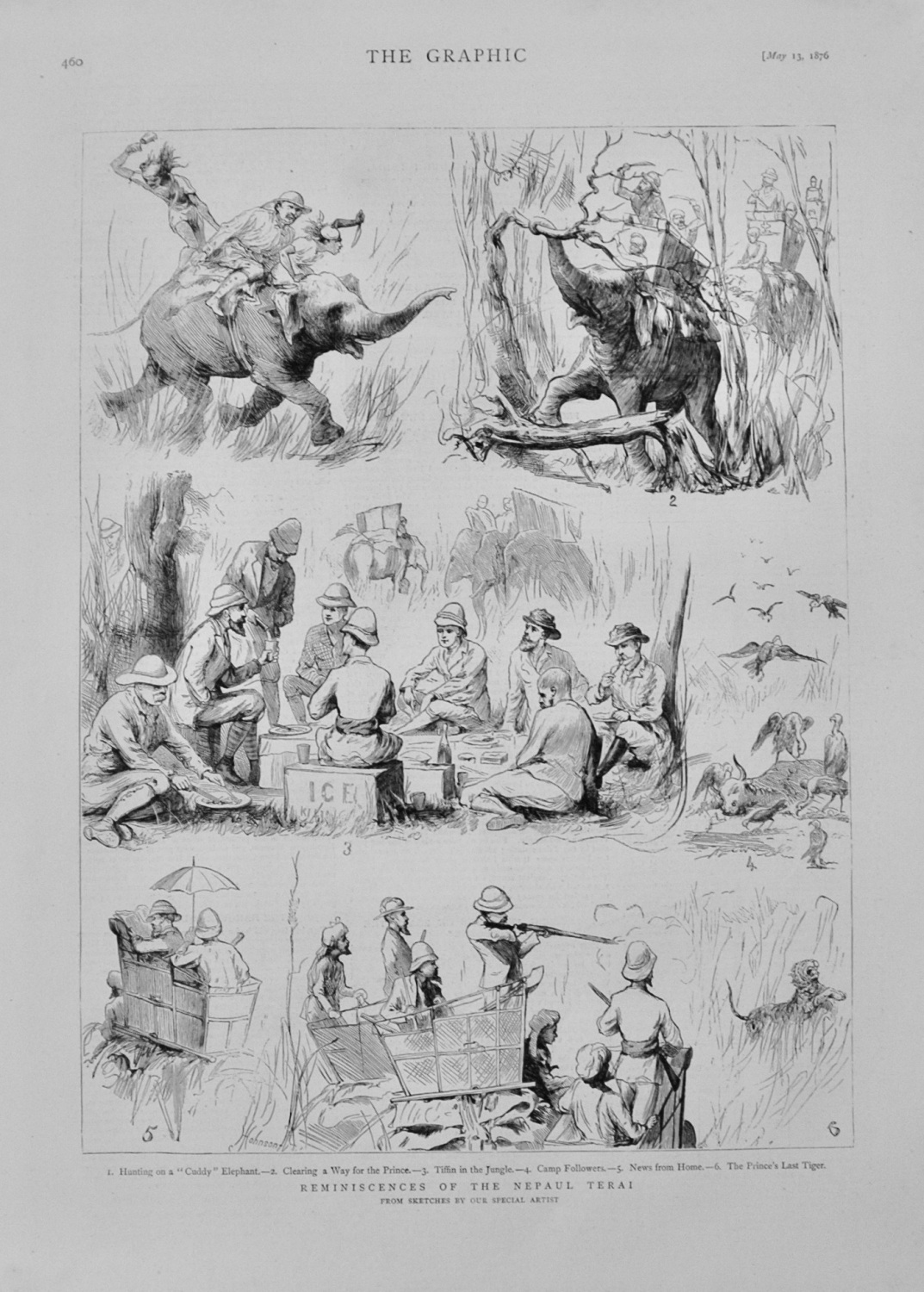 Reminiscences of the Nepaul Terai - 1876
