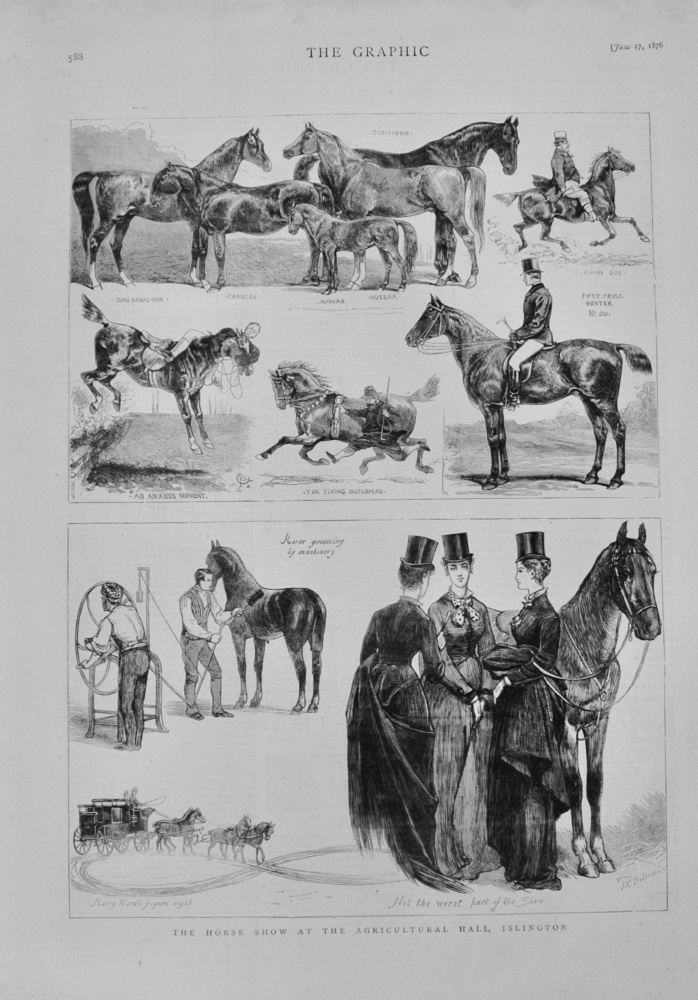 The Horse Show at Islington - 1876