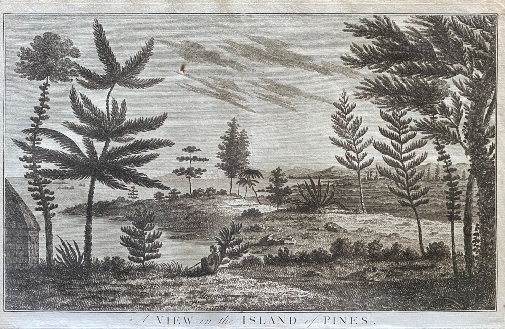A View in the Island of Pines.  1784 - 1786