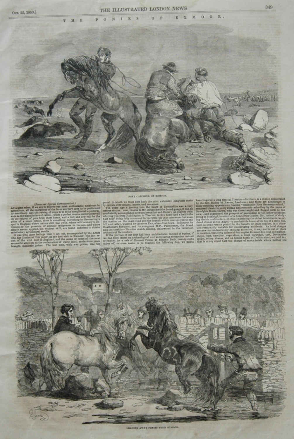 The Ponies of Exmoor - 1853