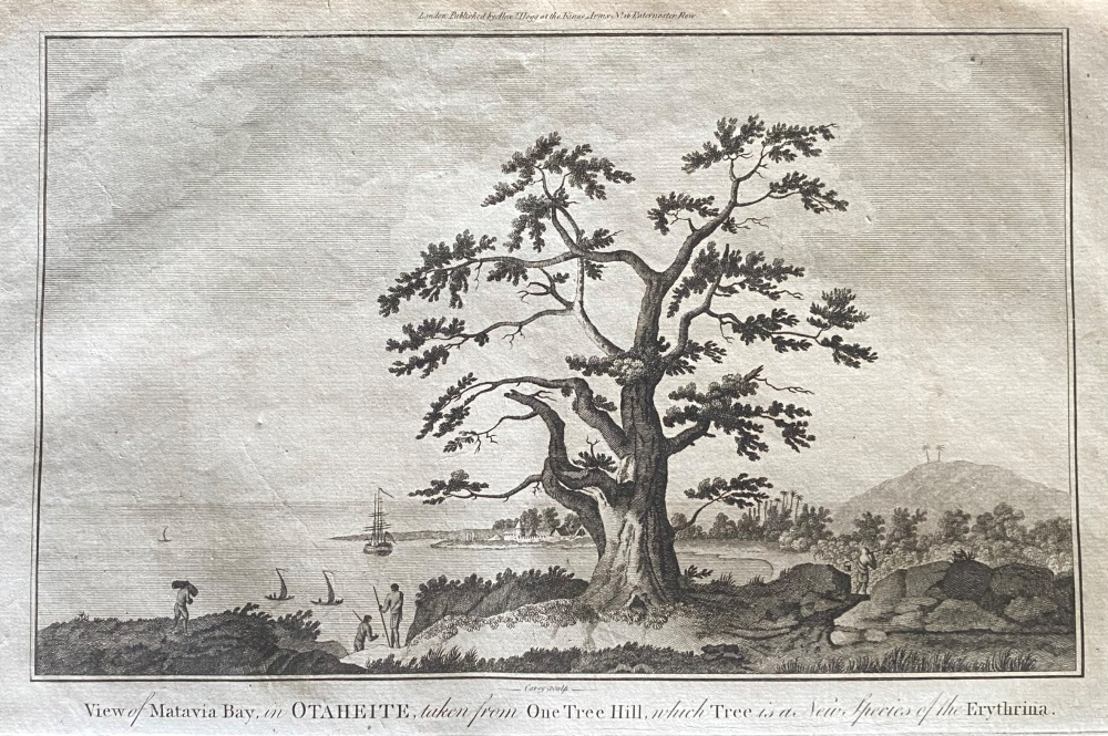 View of Matavia Bay, in OTAHEITE, taken from  One Tree Hill, which Tree is a, new Species of the Erythrina. 1784 - 1786