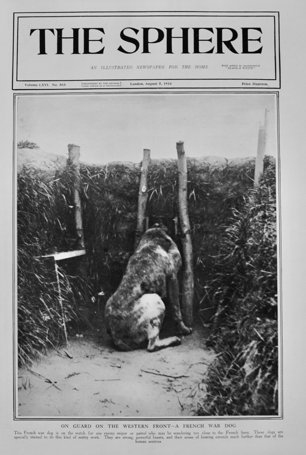 The Sphere, August 5, 1916