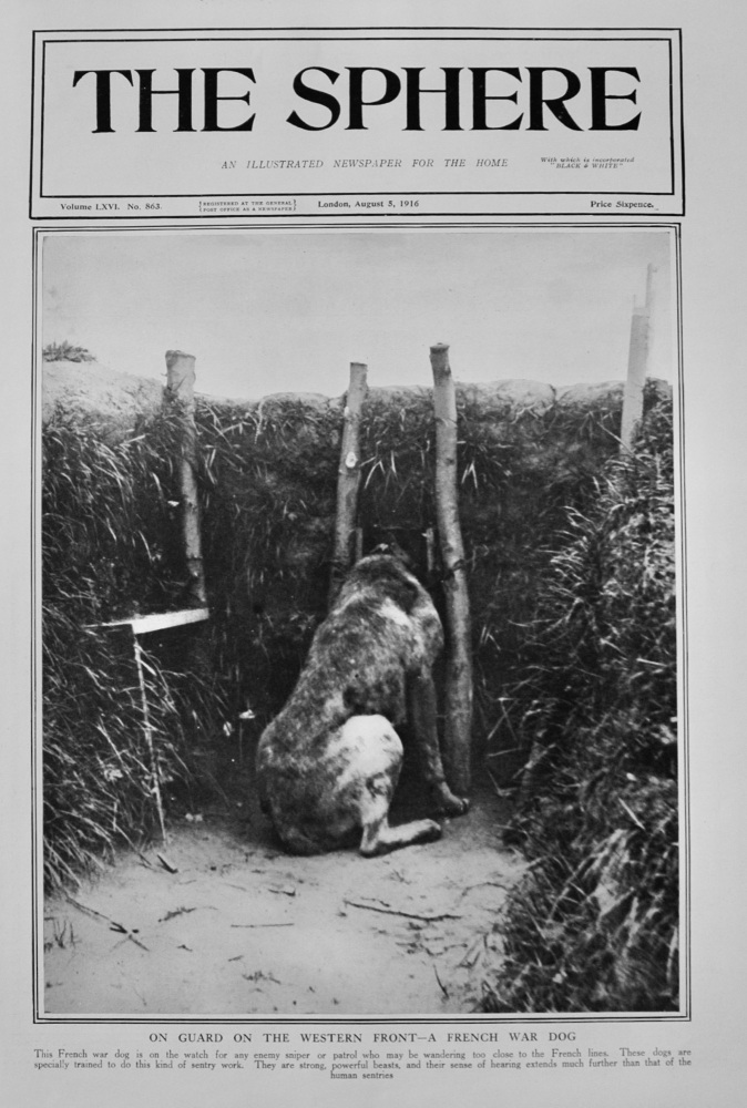 The Sphere, August 5, 1916