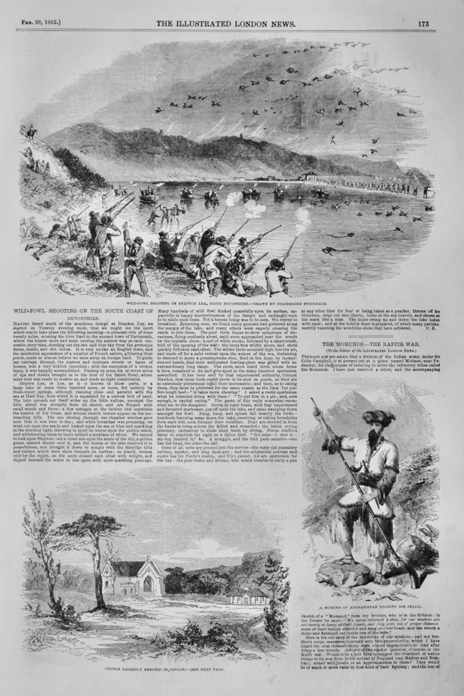 Wild-Fowl Shooting on the South Coast of Devonshire - 1852