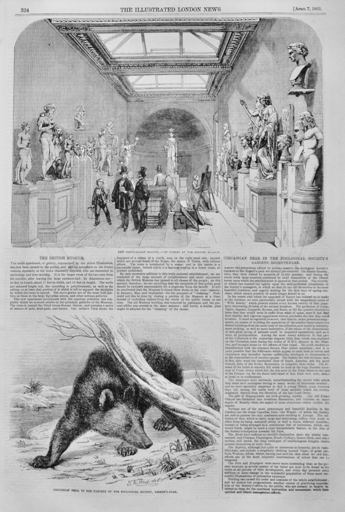 The British Museum - 1855