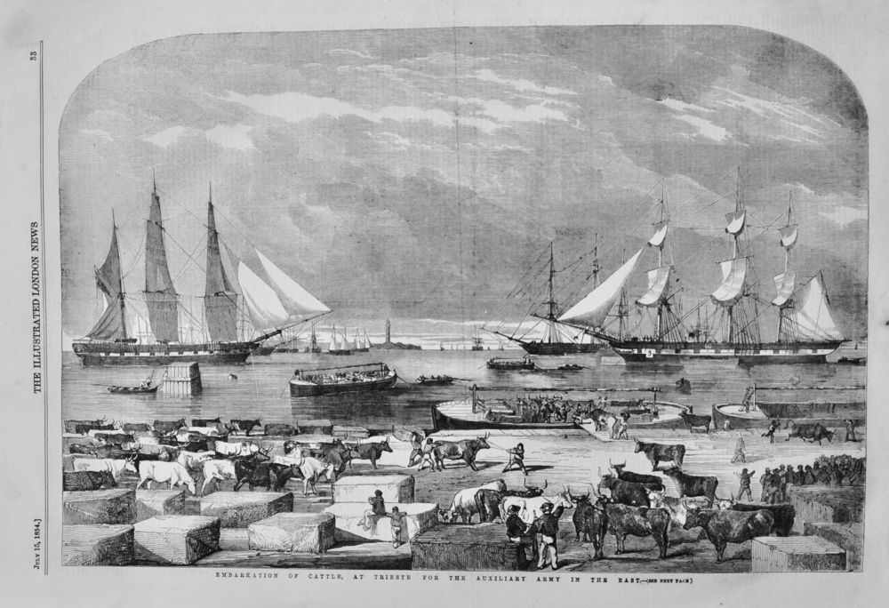 Embarkation of Cattle, at Trieste - 1854