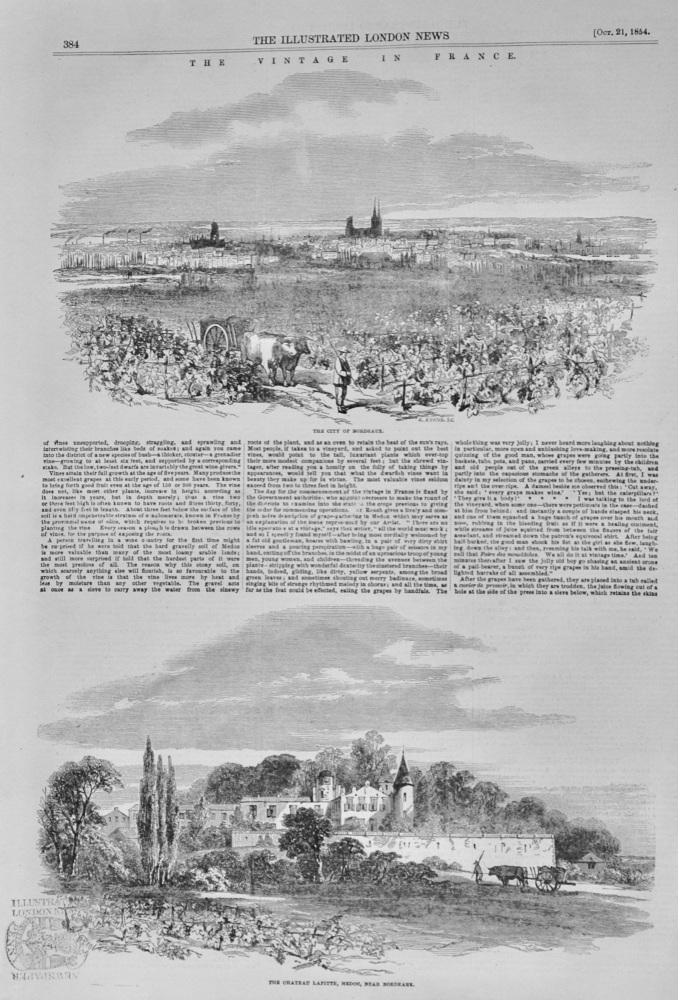 The Vintage in France - 1854