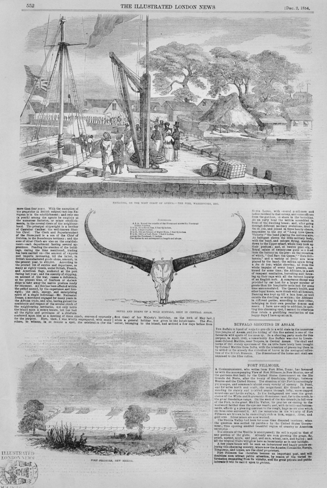 Matacong, West Coast of Africa - 1854