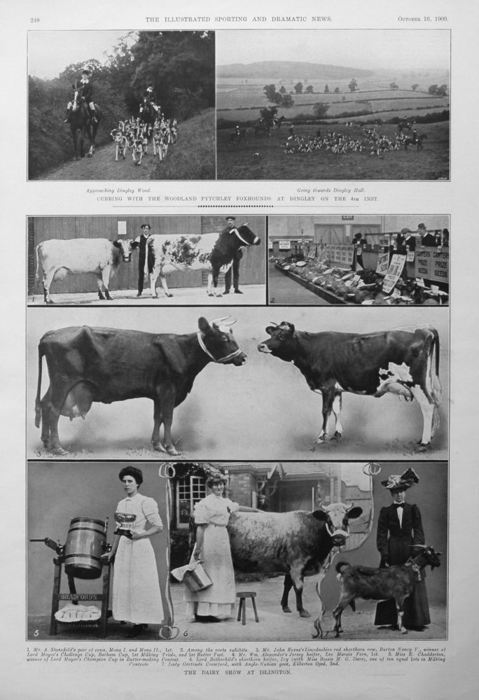 The Dairy Show at Islington.