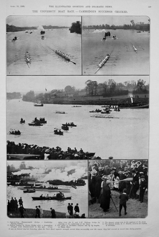 The University Boat Race. - Cambridge's Successes Checked. 1909.