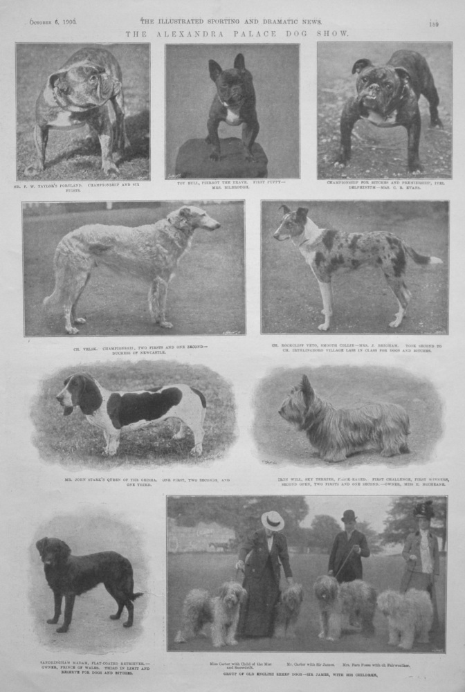 The Alexandra Palace Dog Show. 1900