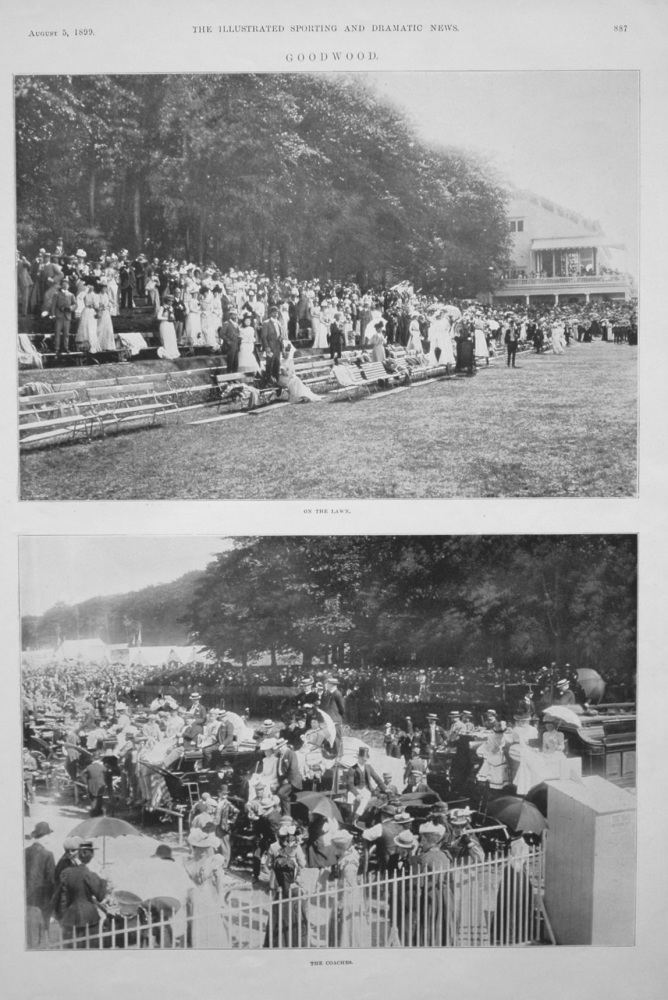 Goodwood Races. 1899.