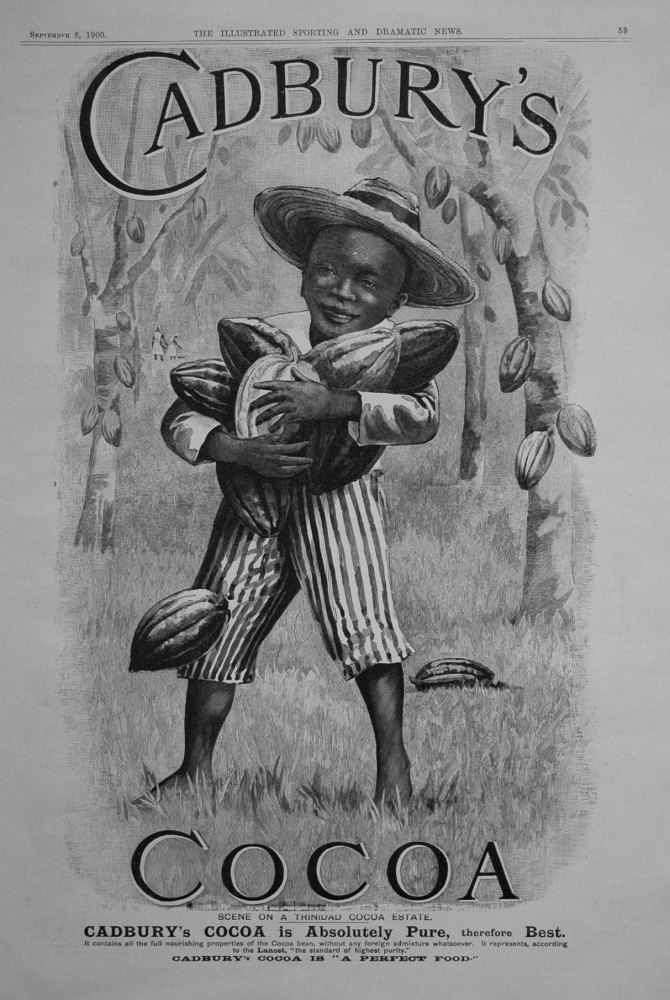 Cadbury's Cocoa. September 8th 1900.