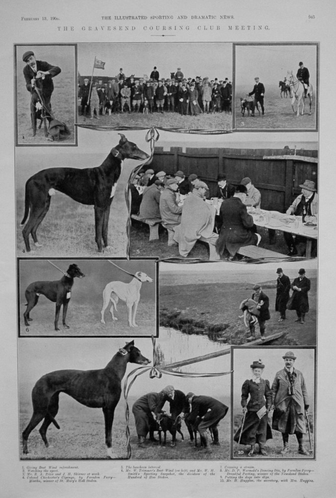 The Gravesend Coursing Club Meeting. 1909.