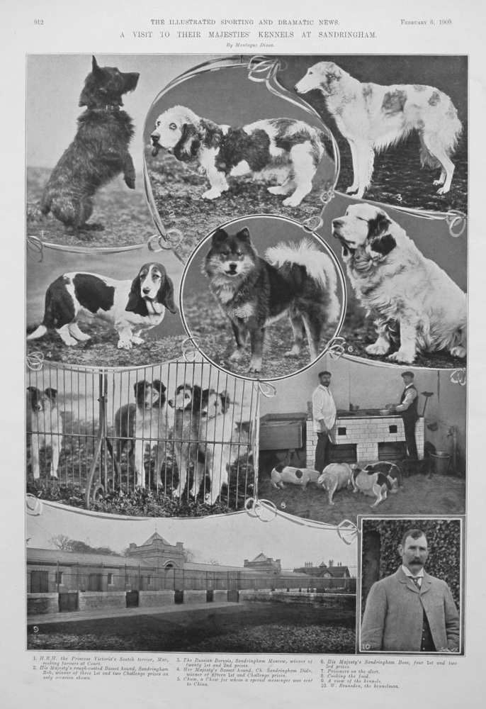 A Visit to Their Majesties' Kennels at Sandringham. 1909