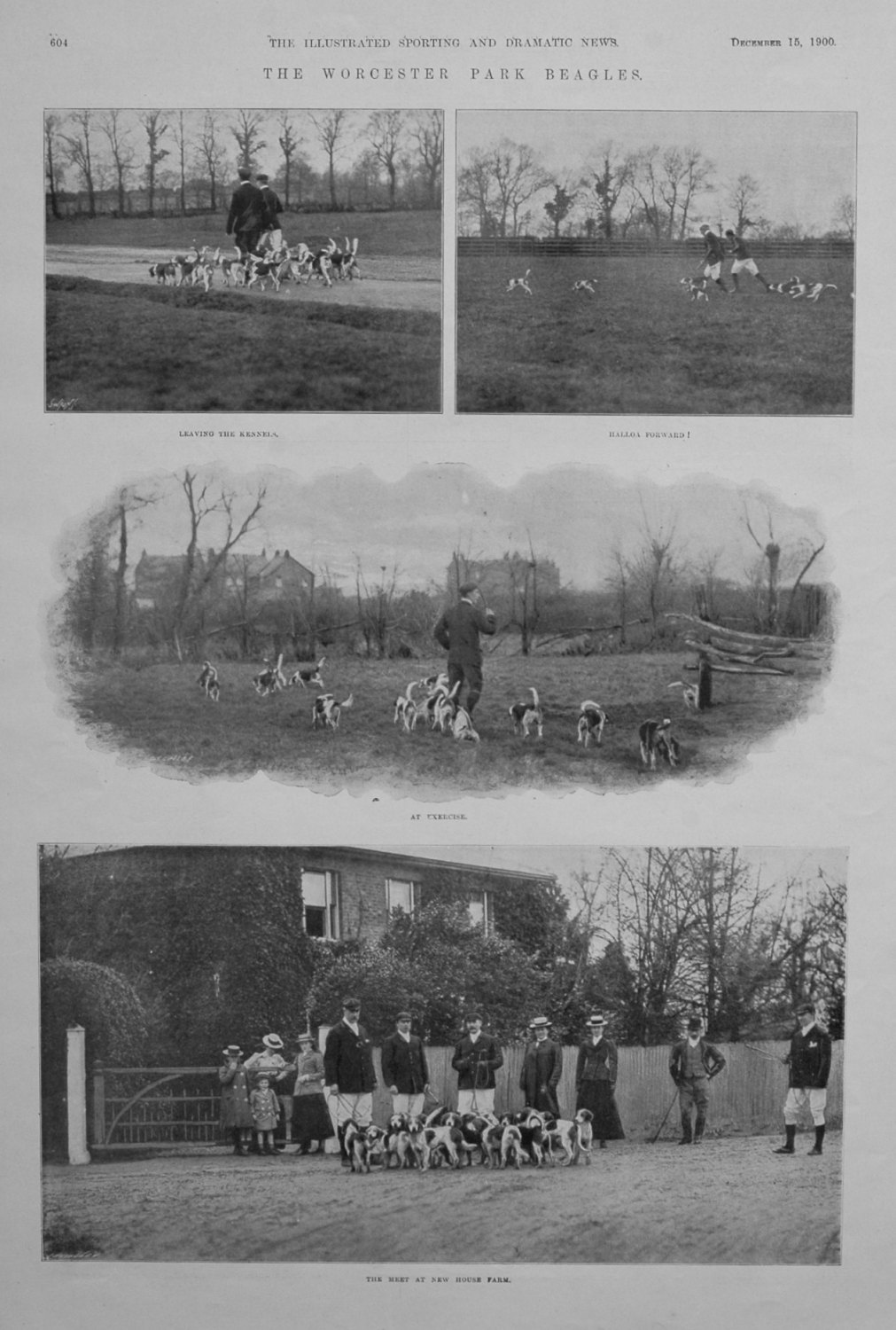 The Worcester Park Beagles. 1900