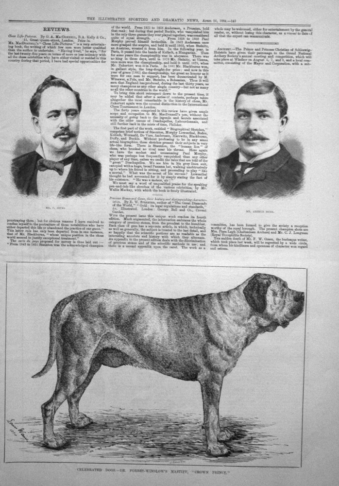 Celebrated Dogs. -Dr. Forbes-Winslow's Mastiff, "Crown Prince."